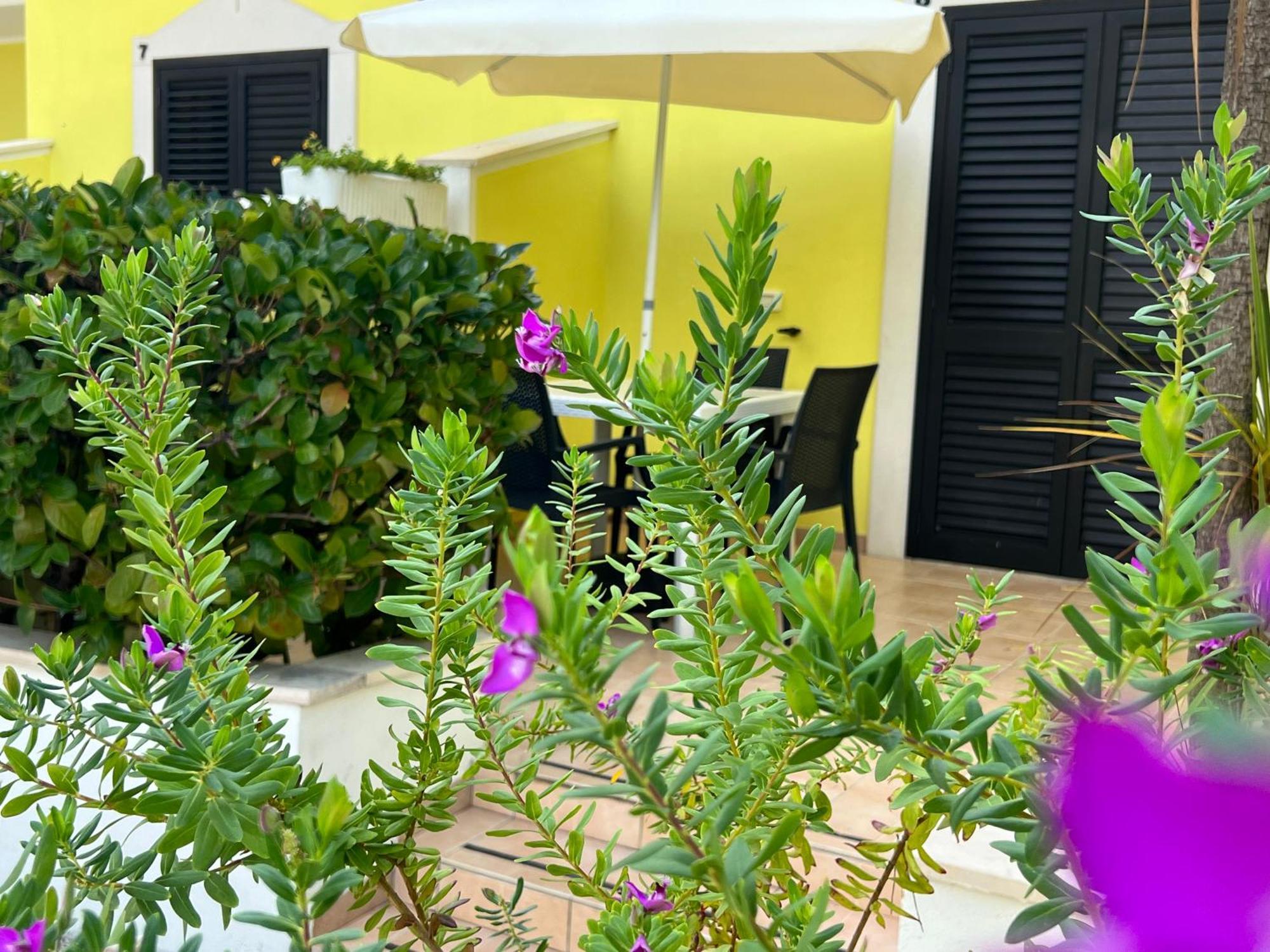 Argeste Club Vacanze Vieste Luaran gambar